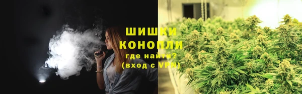 хмурый Белокуриха