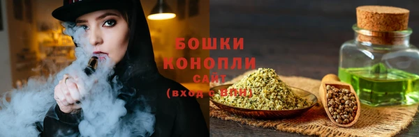 хмурый Белокуриха