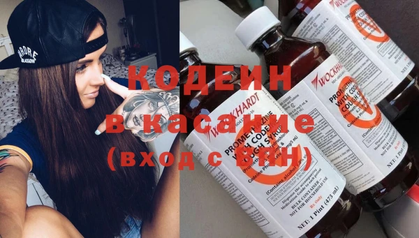хмурый Белокуриха