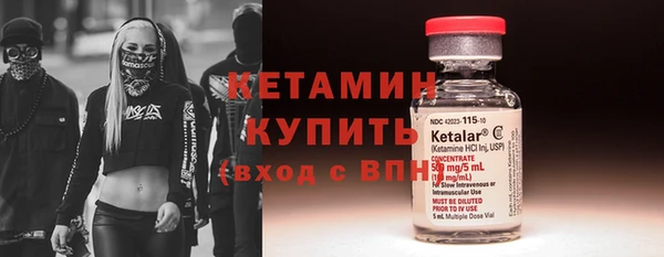 хмурый Белокуриха