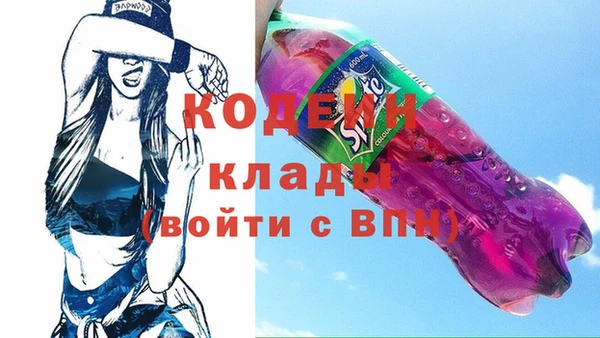 хмурый Белокуриха