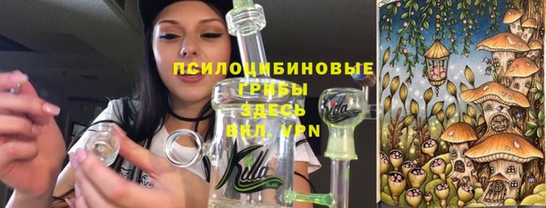 хмурый Белокуриха