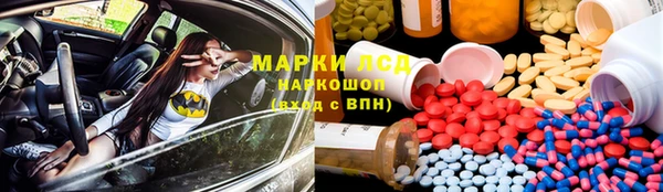 хмурый Белокуриха