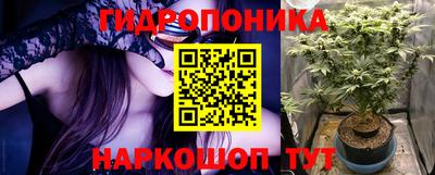 гашик Аргун