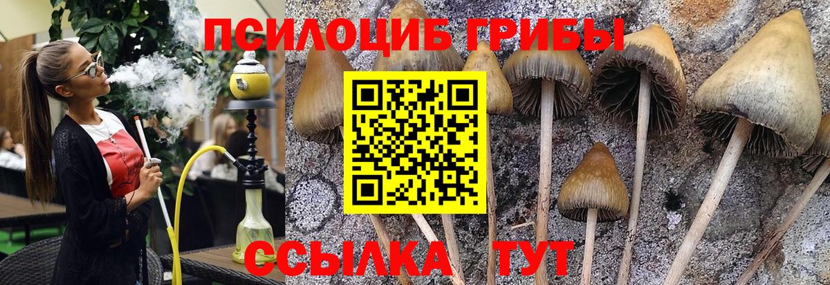 Галлюциногенные грибы мицелий  Вход с VPN  Верхний Уфалей  Псилоцибиновые грибы мухоморы 
